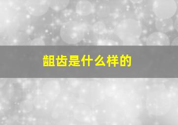 龃齿是什么样的