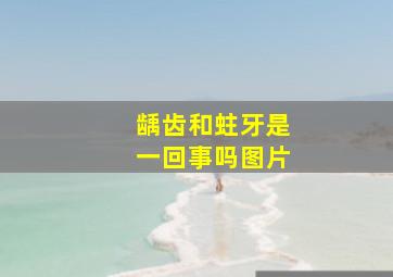 龋齿和蛀牙是一回事吗图片