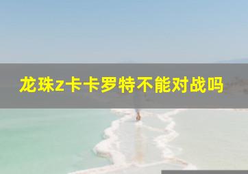 龙珠z卡卡罗特不能对战吗