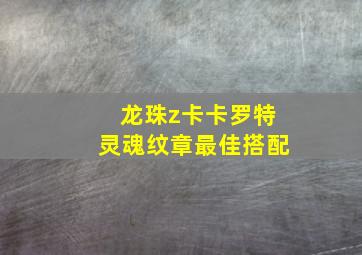 龙珠z卡卡罗特灵魂纹章最佳搭配