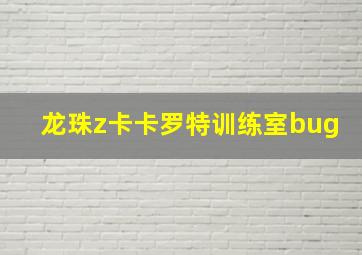 龙珠z卡卡罗特训练室bug