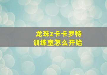 龙珠z卡卡罗特训练室怎么开始