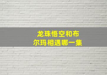 龙珠悟空和布尔玛相遇哪一集