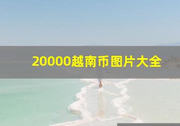 20000越南币图片大全