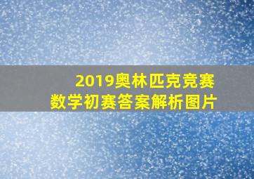 2019奥林匹克竞赛数学初赛答案解析图片