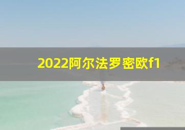 2022阿尔法罗密欧f1