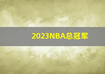 2023NBA总冠军