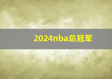 2024nba总冠军