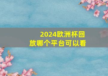 2024欧洲杯回放哪个平台可以看