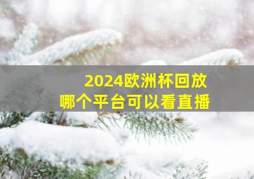 2024欧洲杯回放哪个平台可以看直播