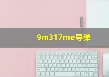 9m317me导弹