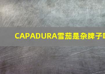 CAPADURA雪茄是杂牌子吗