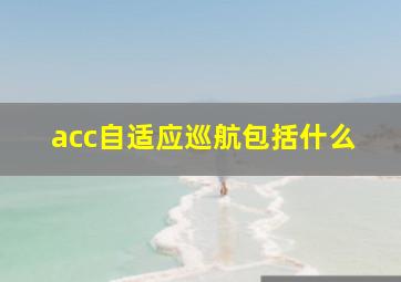 acc自适应巡航包括什么