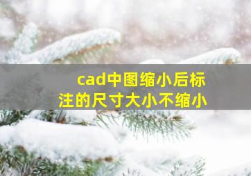 cad中图缩小后标注的尺寸大小不缩小