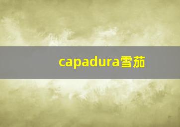 capadura雪茄