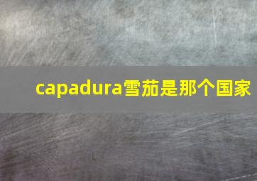 capadura雪茄是那个国家