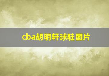 cba胡明轩球鞋图片