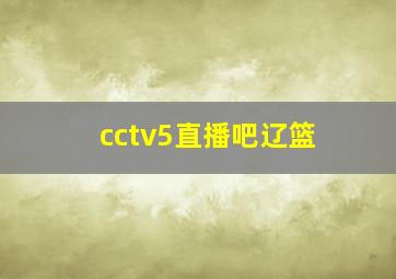 cctv5直播吧辽篮