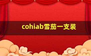 cohiab雪茄一支装