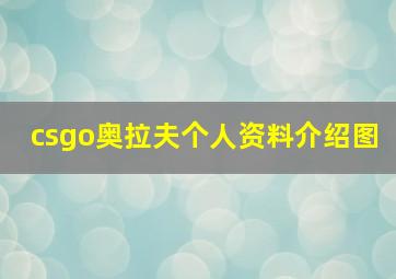 csgo奥拉夫个人资料介绍图