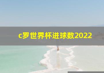 c罗世界杯进球数2022