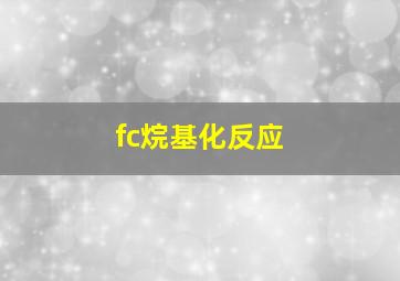 fc烷基化反应