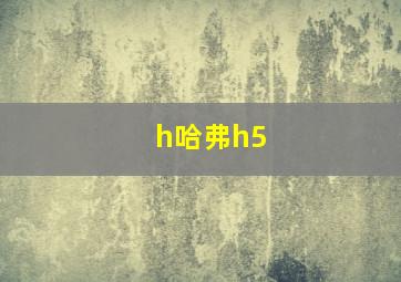 h哈弗h5