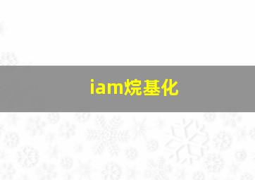 iam烷基化