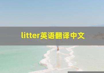 litter英语翻译中文