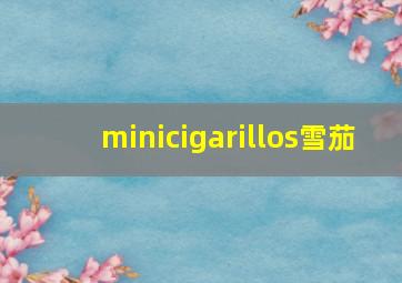 minicigarillos雪茄