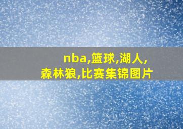 nba,篮球,湖人,森林狼,比赛集锦图片