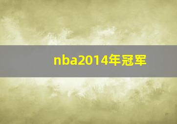 nba2014年冠军