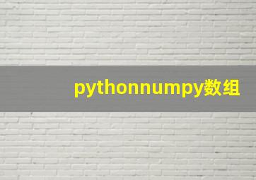 pythonnumpy数组