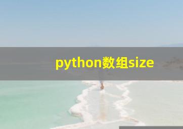 python数组size