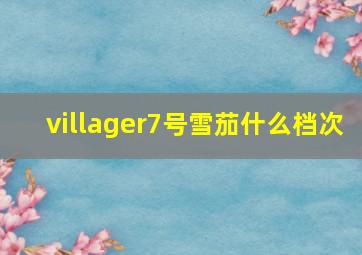 villager7号雪茄什么档次