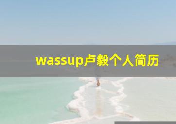 wassup卢毅个人简历