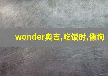 wonder奥吉,吃饭时,像狗