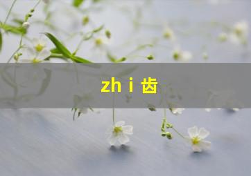 zhⅰ齿