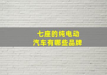 七座的纯电动汽车有哪些品牌