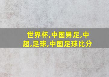 世界杯,中国男足,中超,足球,中国足球比分