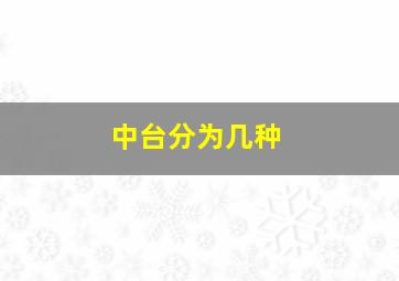 中台分为几种