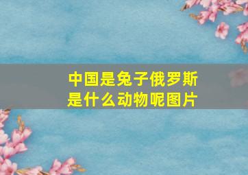 中国是兔子俄罗斯是什么动物呢图片