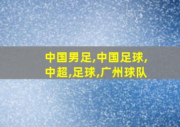 中国男足,中国足球,中超,足球,广州球队