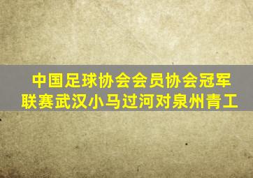 中国足球协会会员协会冠军联赛武汉小马过河对泉州青工