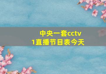 中央一套cctv1直播节目表今天