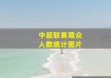 中超联赛观众人数统计图片