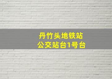 丹竹头地铁站公交站台1号台