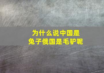 为什么说中国是兔子俄国是毛驴呢