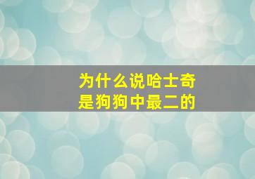 为什么说哈士奇是狗狗中最二的