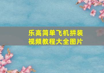 乐高简单飞机拼装视频教程大全图片